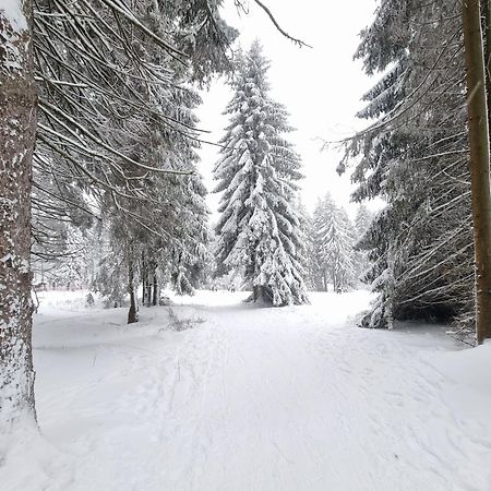 Hotel Zum Gruendle Oberhof  Εξωτερικό φωτογραφία