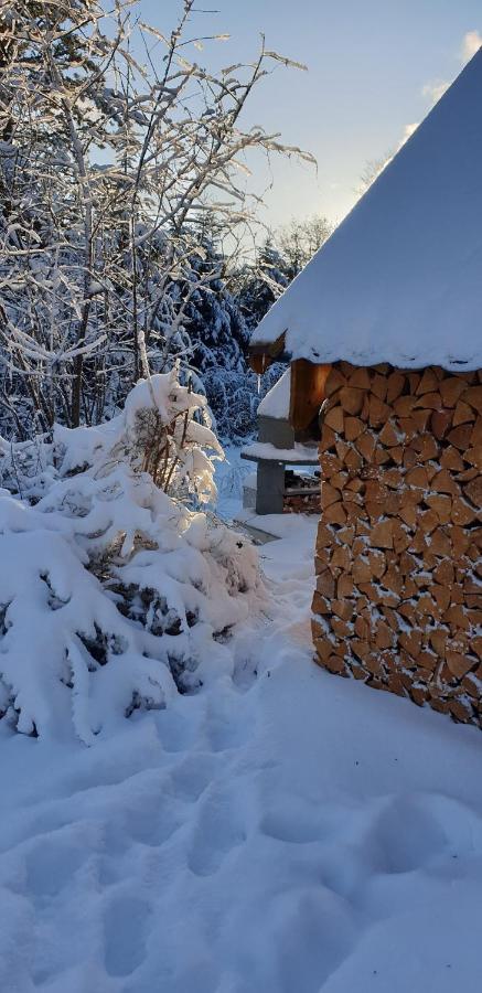 Hotel Zum Gruendle Oberhof  Εξωτερικό φωτογραφία